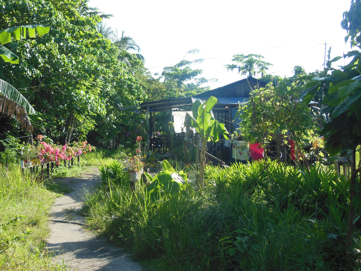 2013-11-10 Billabong Scuba, Mabul 